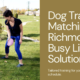 Finding a Dog Trainer In Richmond That Works With Your Busy Lifestyle